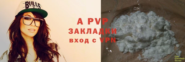 прущие крисы Абаза