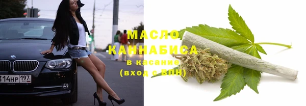 стаф Елизово