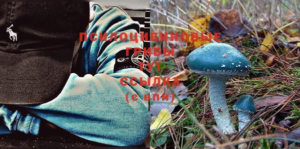 mix Алексин