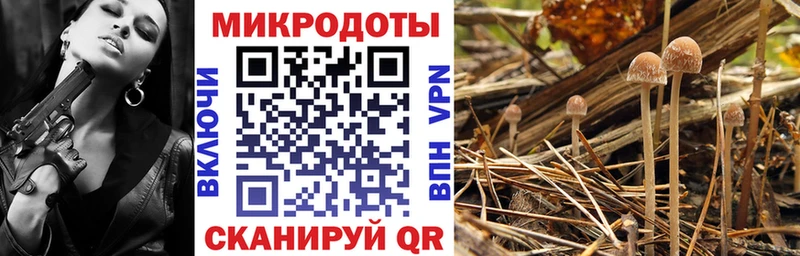 Галлюциногенные грибы мицелий  Пучеж 