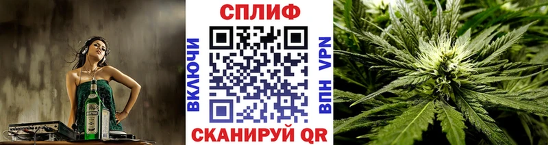 Канабис марихуана  наркота  Пучеж 